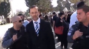 פייגלין והמהומות בהר הבית