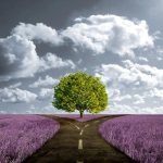 או זה, או זה. אין גם וגם