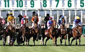 בג"ץ עשה את הלא יעשה ובחר בסוס המועדף! בחירתו של בגץ היא כפייה על כולנו