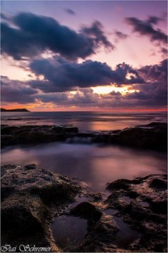 צילום: איתי שרמר