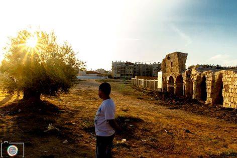 להתחיל ולבנות מחדש. צילום איתי שרמר