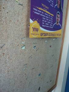 10899639_10205327807852279_59795919_n