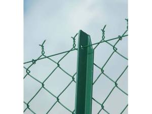 החינוך משרשר את שרשראות הגדר התוחמת פרט מכלל-קהילתי, כלל-קהילתי מכלל-לאומי ווכלל-לאומי מהאנושות.