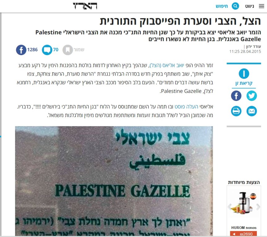 כתבה מעיתון הארץ