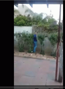 תהיו הנער הזה. צילום מסך מתוך הסרטון בו הושלכה הכלבה העיוורת